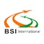 BSI logo