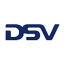DSV logo